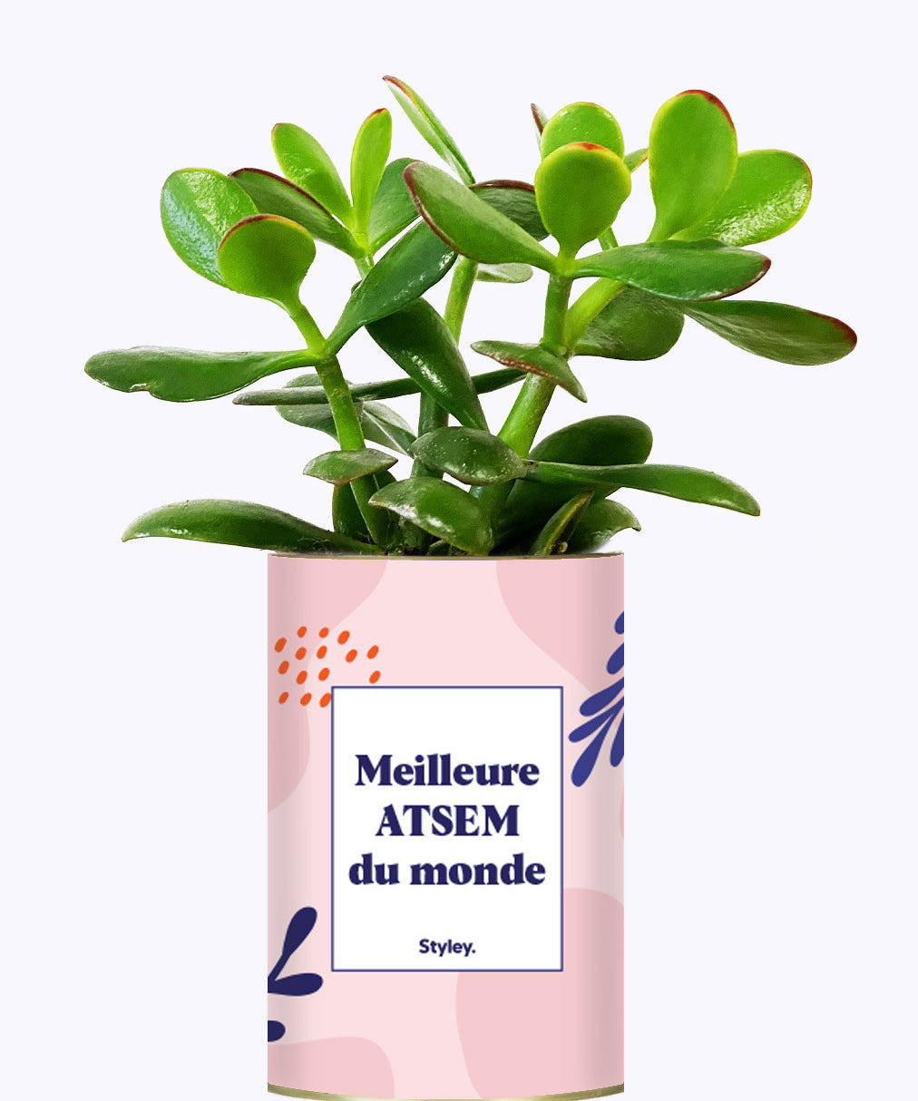 Meilleure ATSEM du monde - Cactus