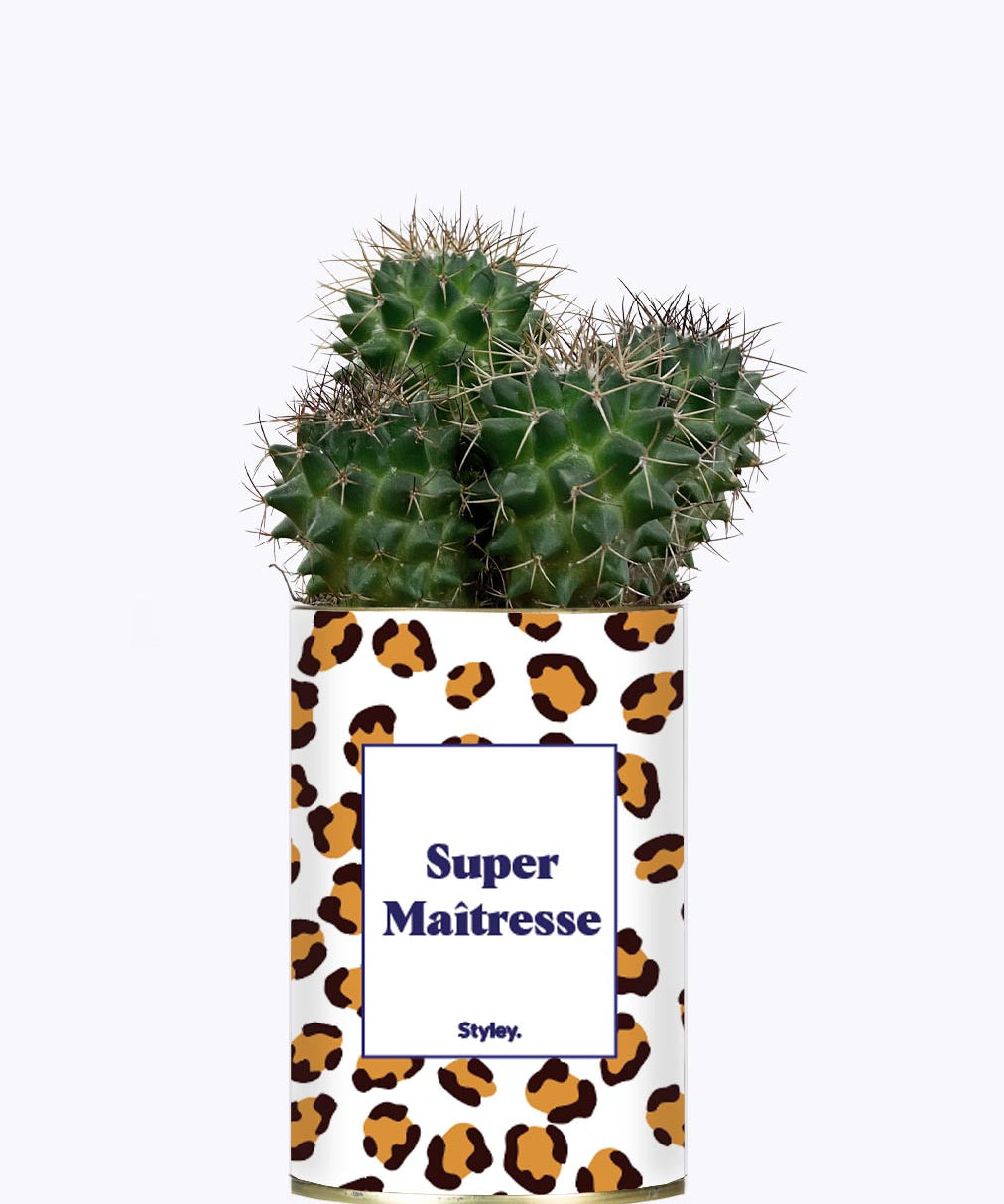 Super Maîtresse - Cactus