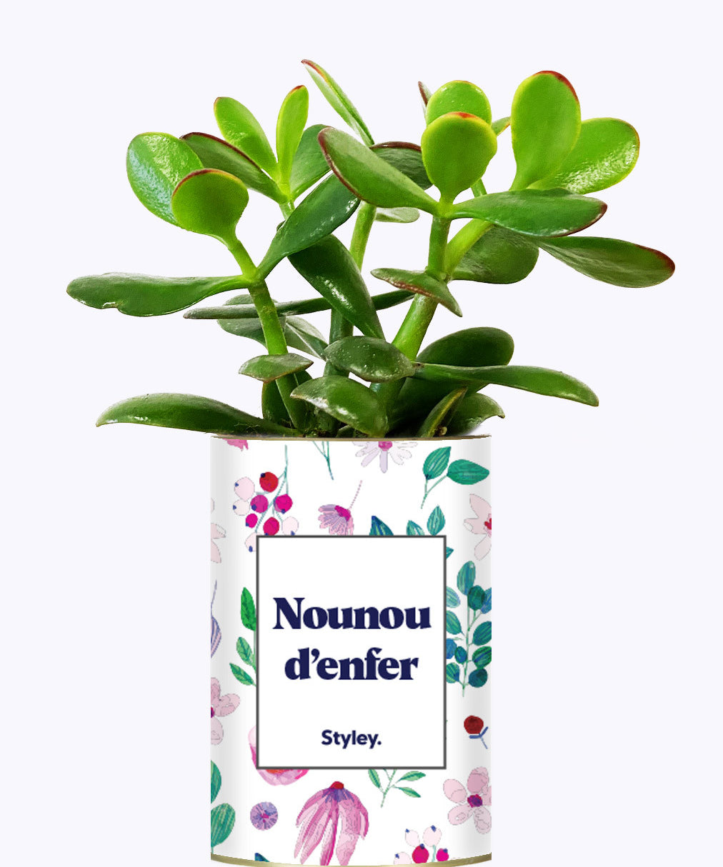 Nounou d'enfer - Cactus