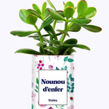 Nounou d'enfer - Cactus