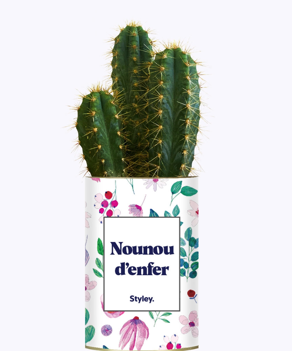 Nounou d'enfer - Cactus