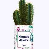 Nounou d'enfer - Cactus