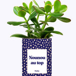Nounou au top - Cactus