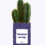 Nounou au top - Cactus