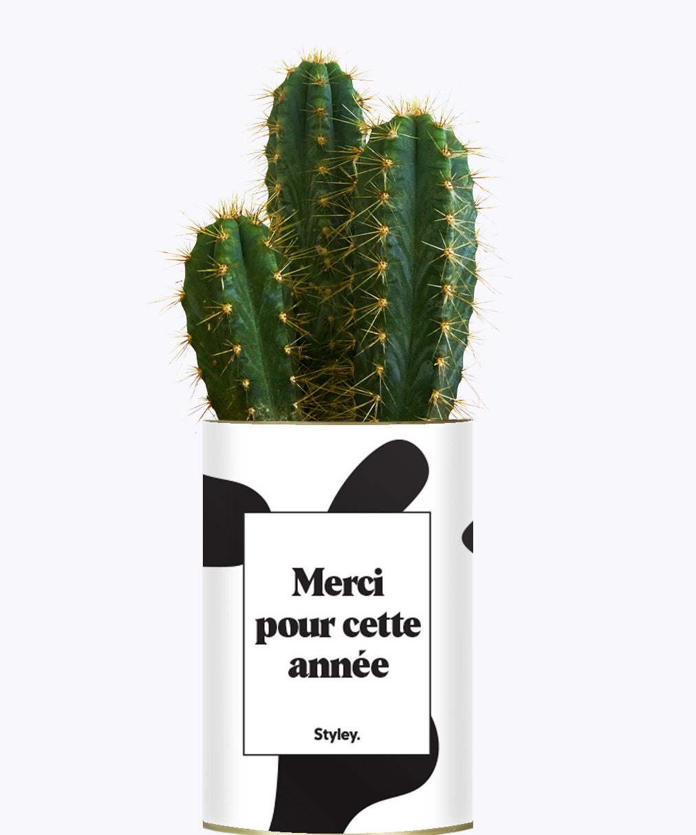 Merci pour cette année - Cactus