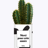 Merci pour cette année - Cactus