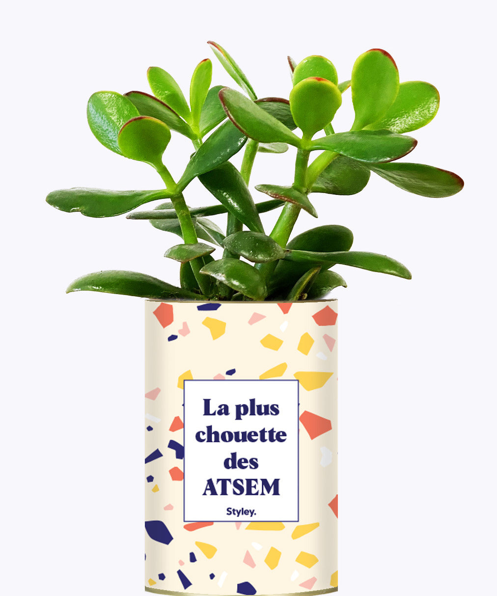 La plus chouette des ATSEM - Cactus