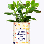 La plus chouette des ATSEM - Cactus