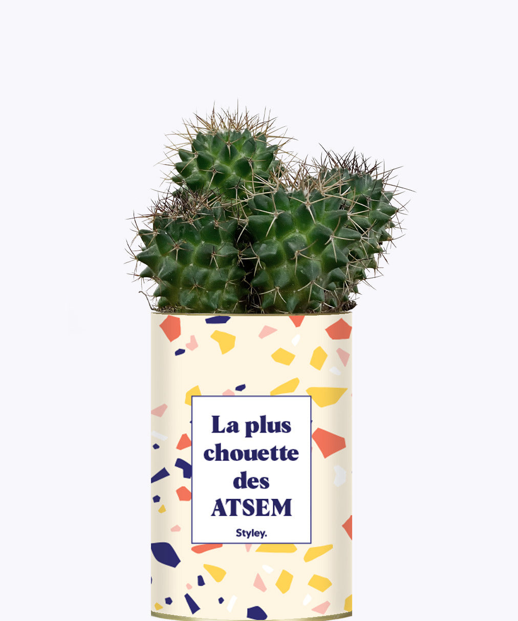 La plus chouette des ATSEM - Cactus