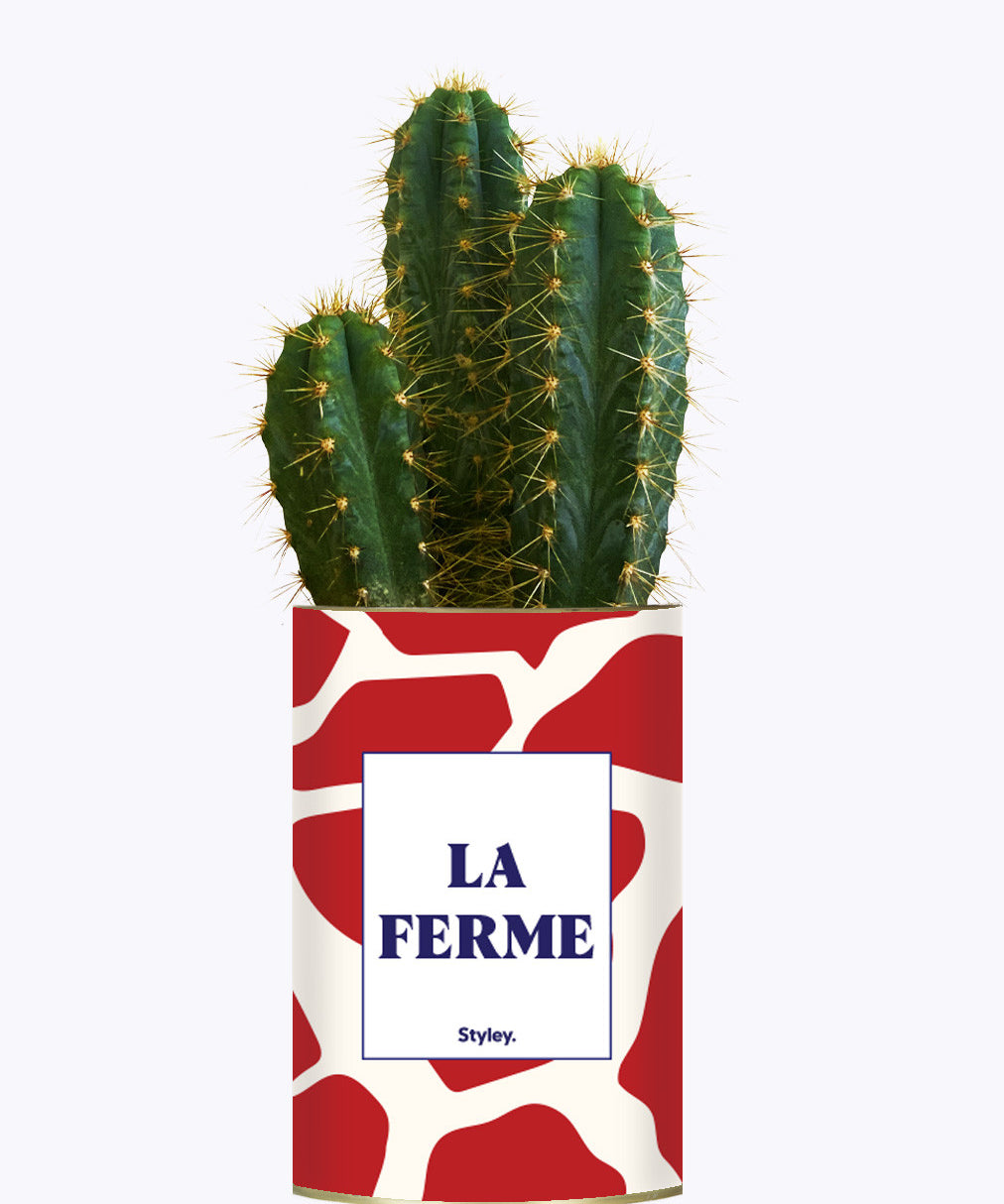 LA FERME - Cactus