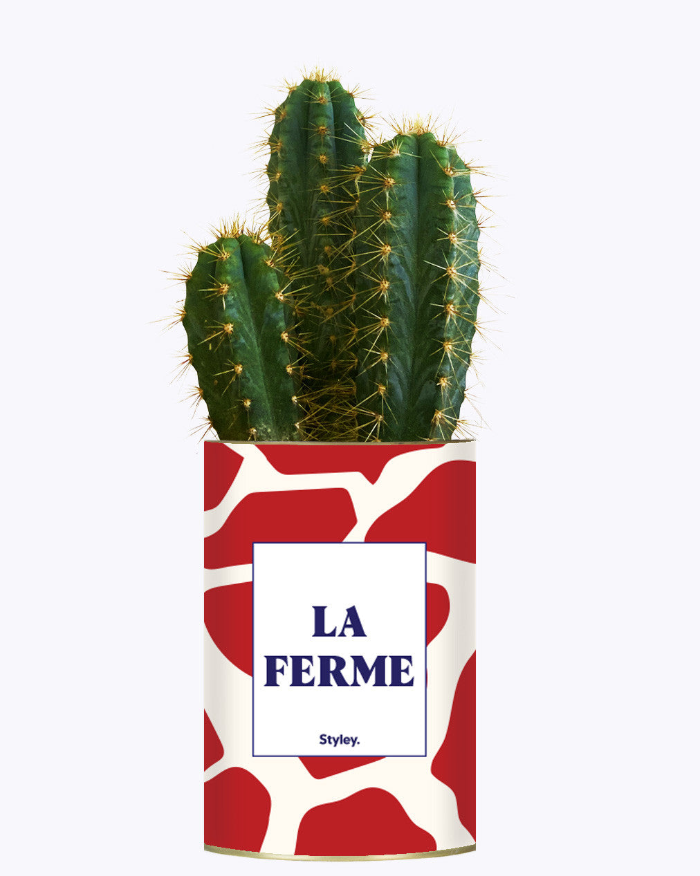 LA FERME - Cactus