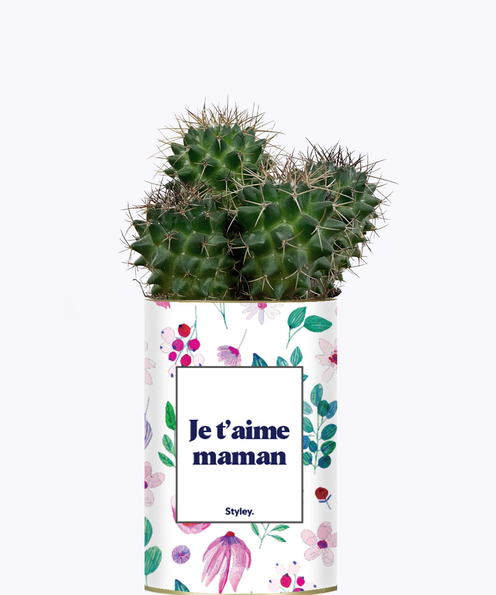 Je t'aime Maman - Cactus