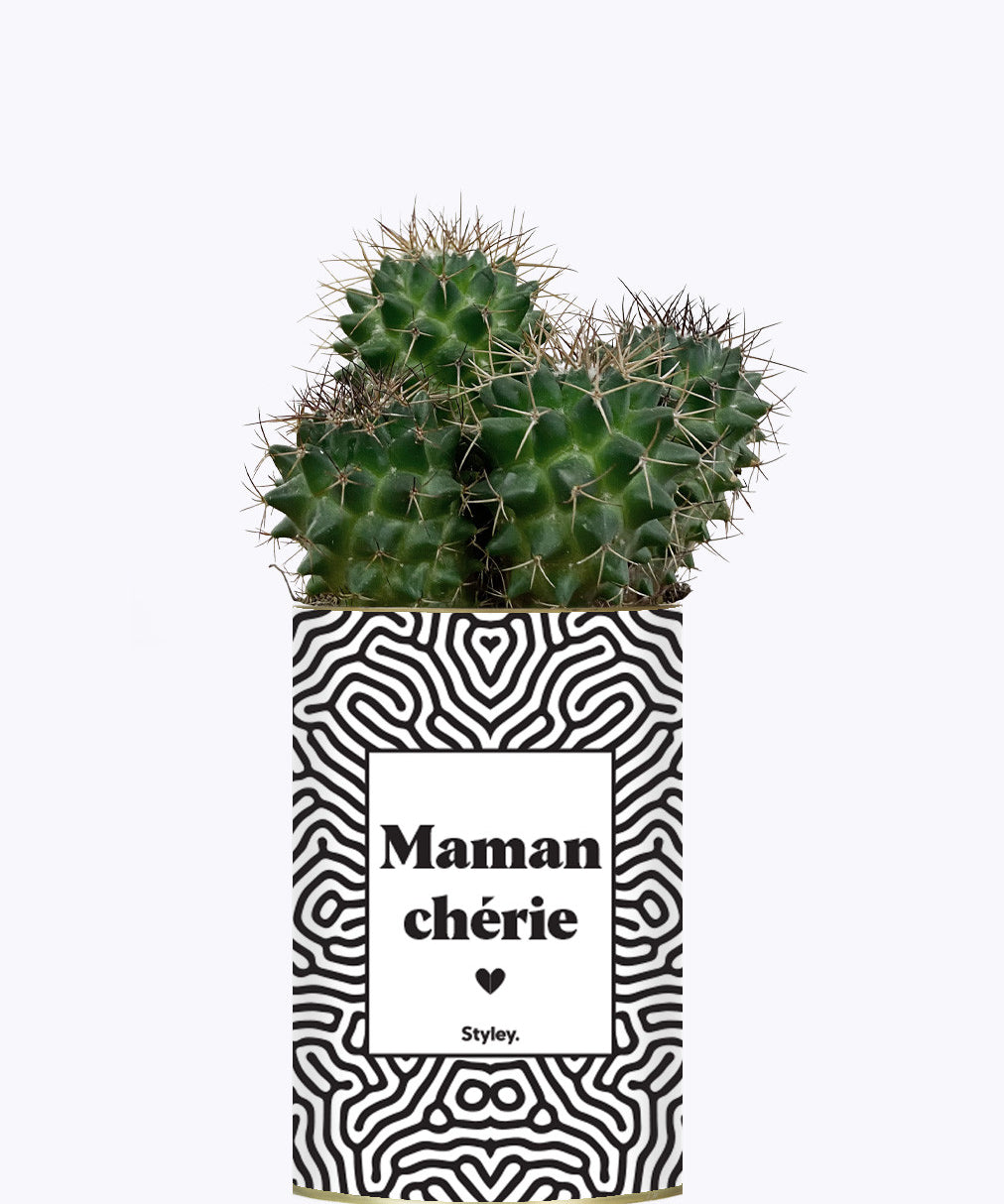 Maman Chérie - Cactus