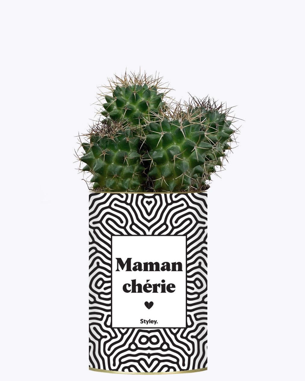 Maman Chérie - Cactus