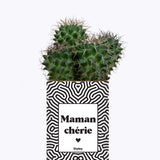 Maman Chérie - Cactus