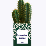 Mauvaise Graine - Cactus
