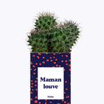 Maman louve - Cactus