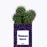 Maman louve - Cactus