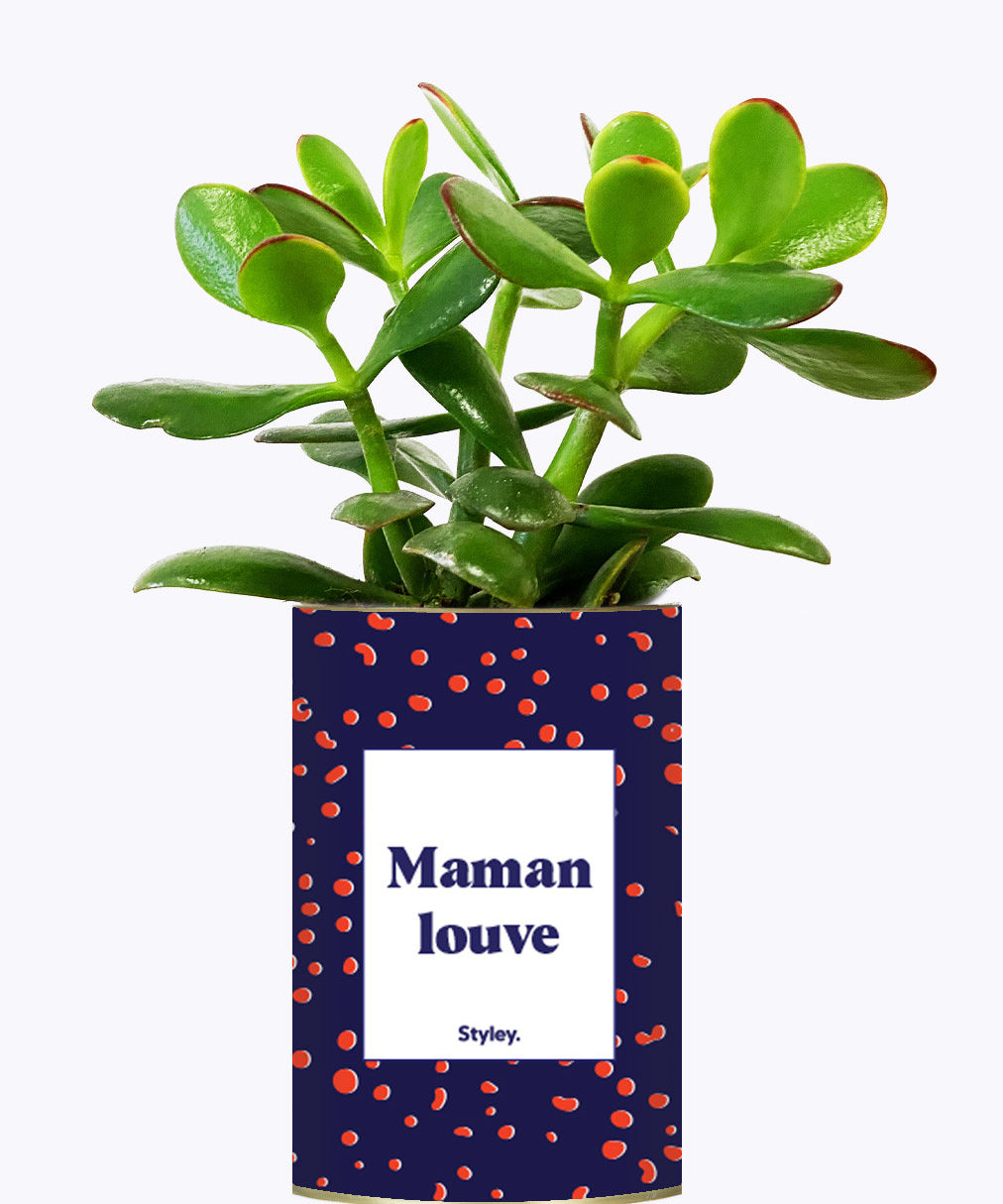 Maman louve - Cactus