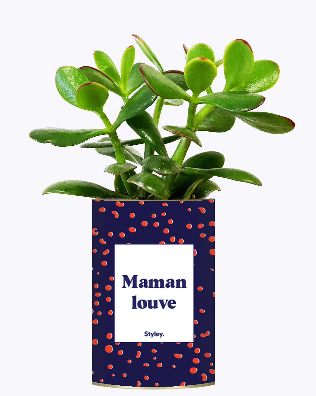 Maman louve - Cactus