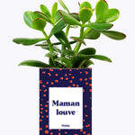Maman louve - Cactus
