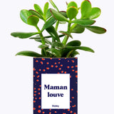 Maman louve - Cactus