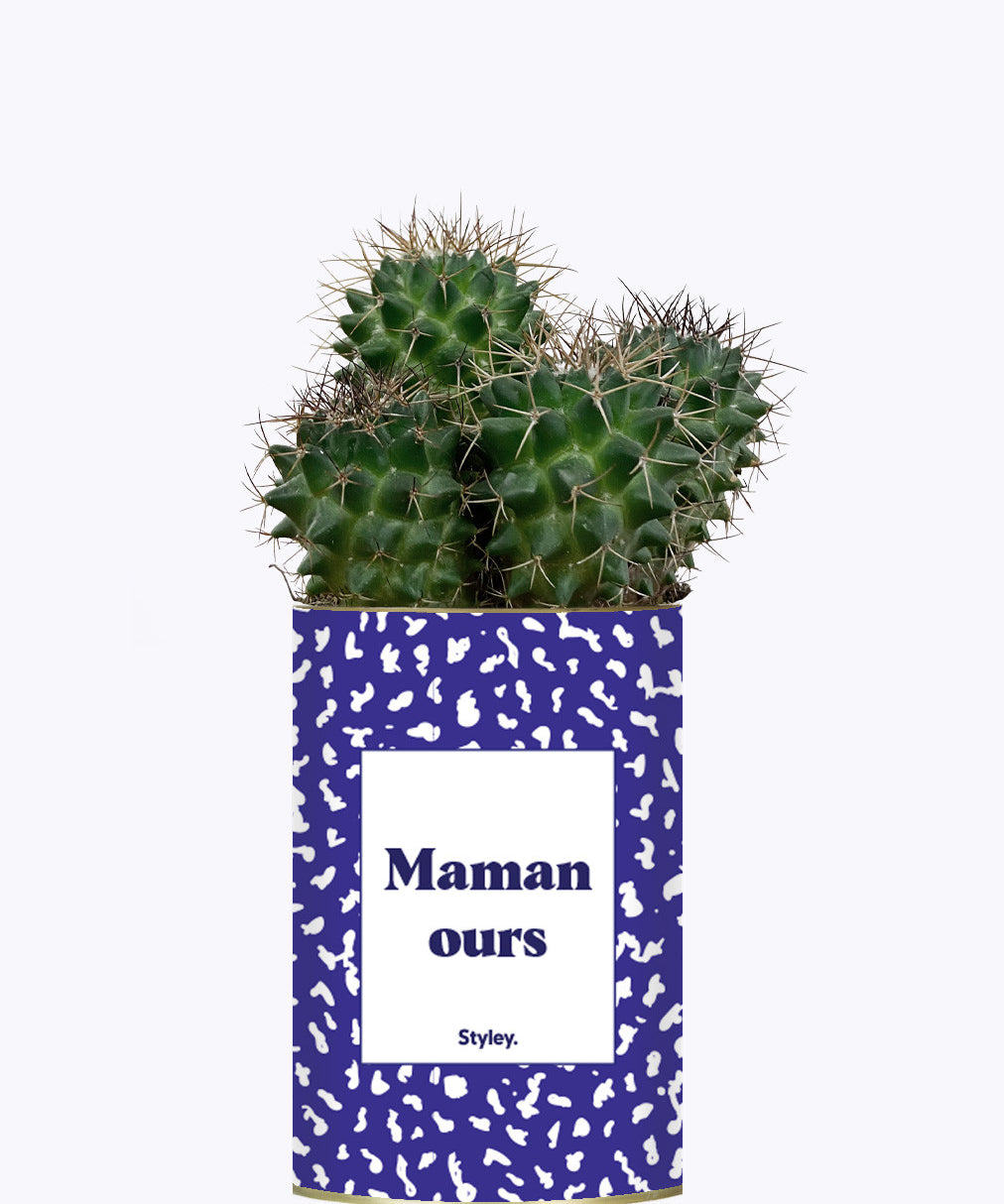 Maman ours - Cactus