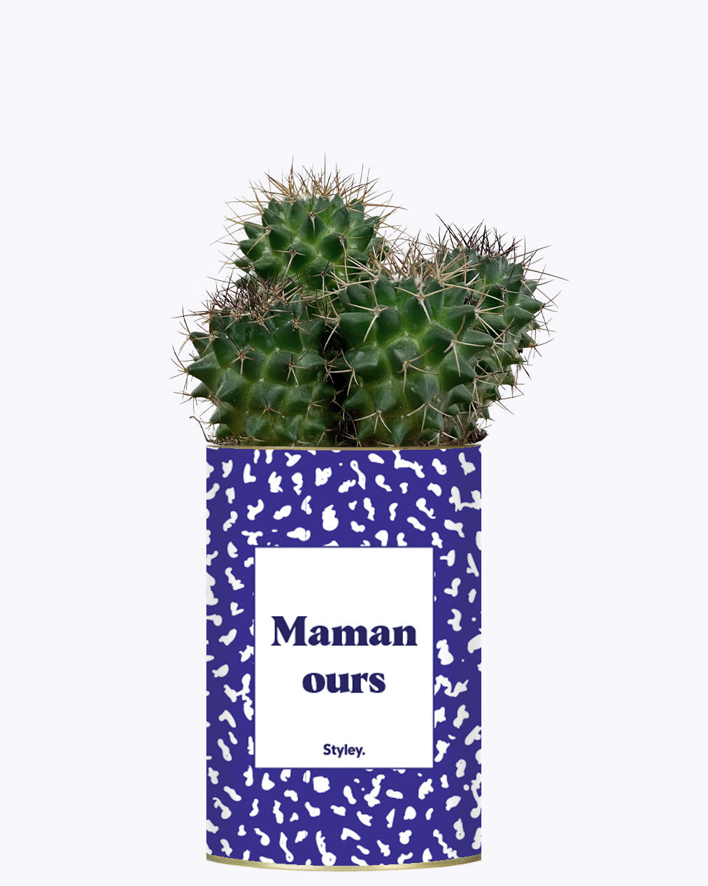 Maman ours - Cactus
