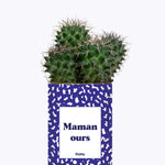 Maman ours - Cactus