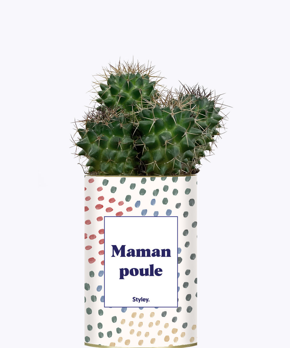 Maman poule - Cactus