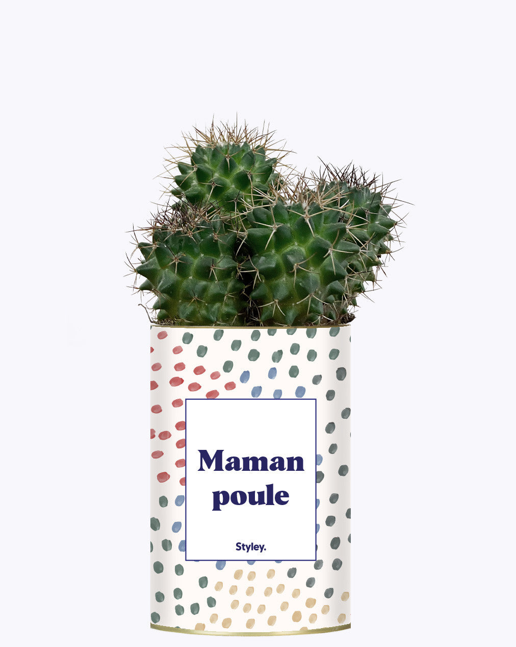 Maman poule - Cactus