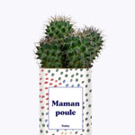 Maman poule - Cactus