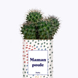 Maman poule - Cactus
