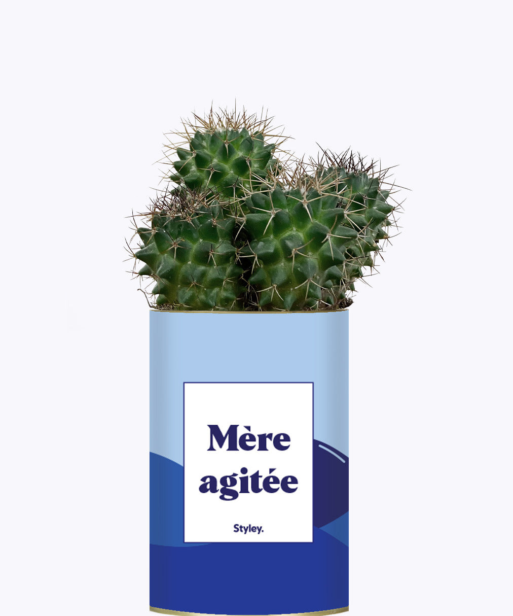 Mère agitée - Cactus