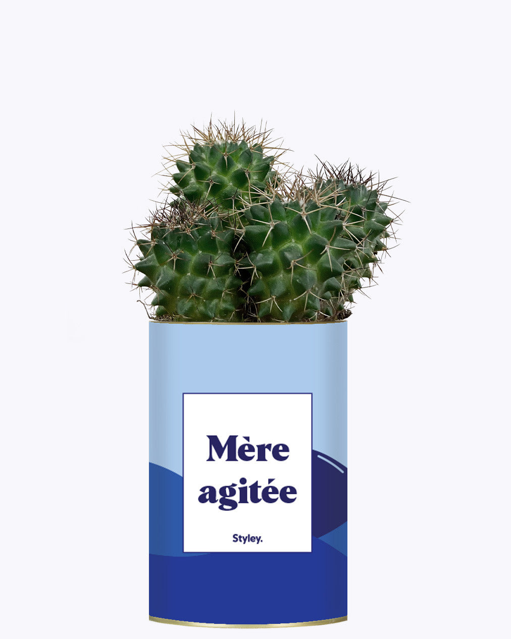 Mère agitée - Cactus