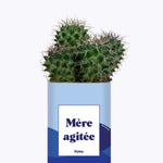 Mère agitée - Cactus