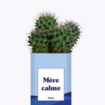 Mère calme - Cactus