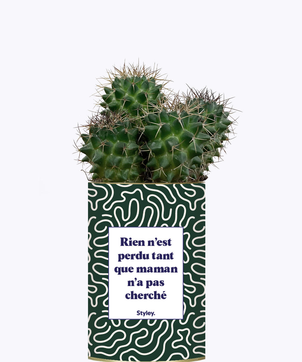 Rien n'est perdu tant que maman n'a pas cherché - Cactus