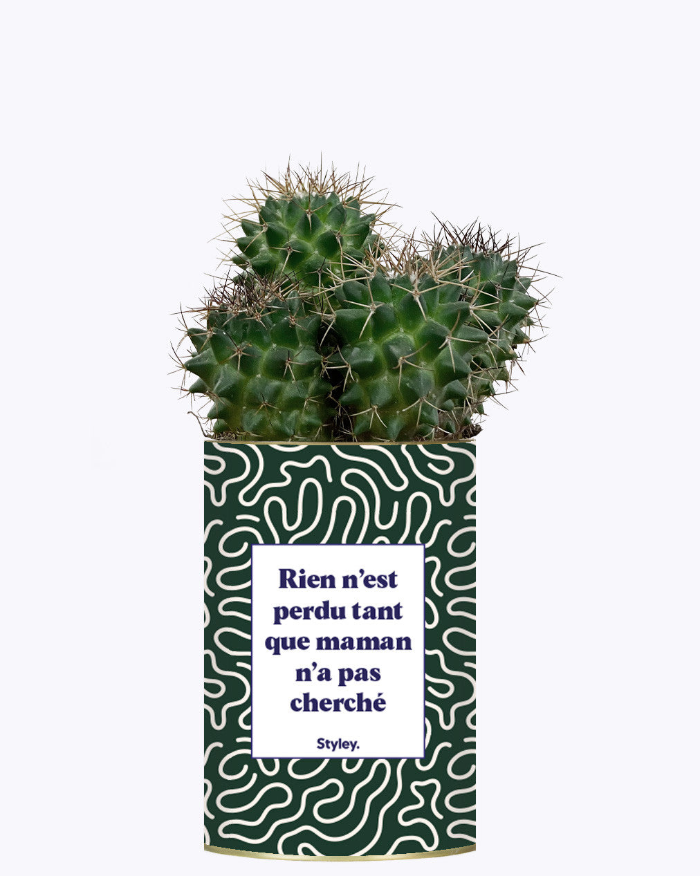 Rien n'est perdu tant que maman n'a pas cherché - Cactus