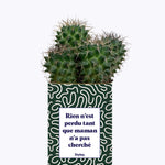Rien n'est perdu tant que maman n'a pas cherché - Cactus