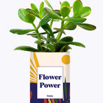 Flower Power - Cactus