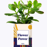 Flower Power - Cactus