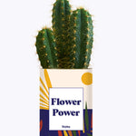 Flower Power - Cactus