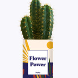 Flower Power - Cactus