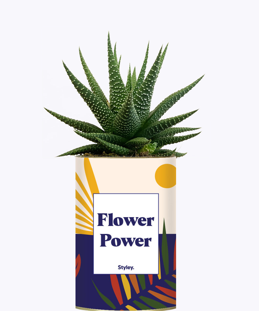 Flower Power - Cactus