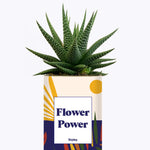 Flower Power - Cactus