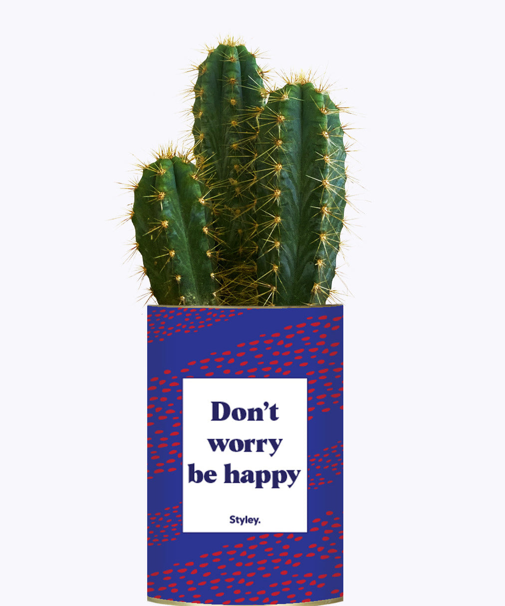 Don't worry be happy - Cactus
