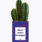 Don't worry be happy - Cactus