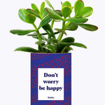 Don't worry be happy - Cactus