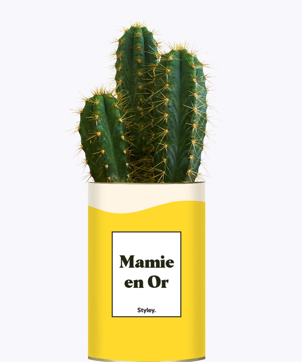 Mamie en Or - Cactus